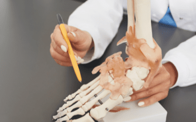 what happens during a foot and ankle examination?
